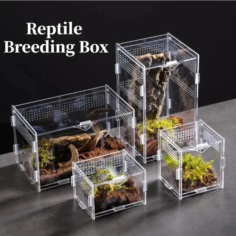 TaranTerra clear acrylic cube enclosure, small 10 cm size